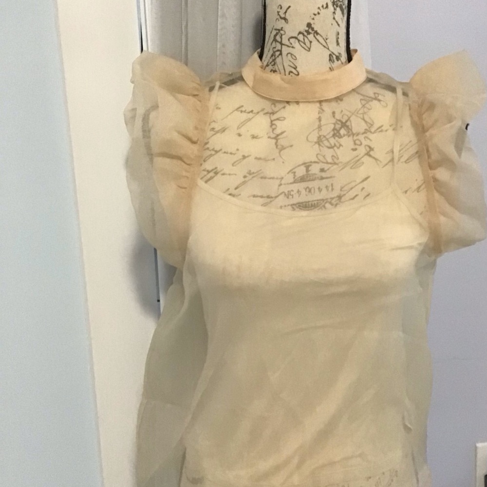 Sheer Ruffle Sleeve Blouse – Romantic Chic Nude Top